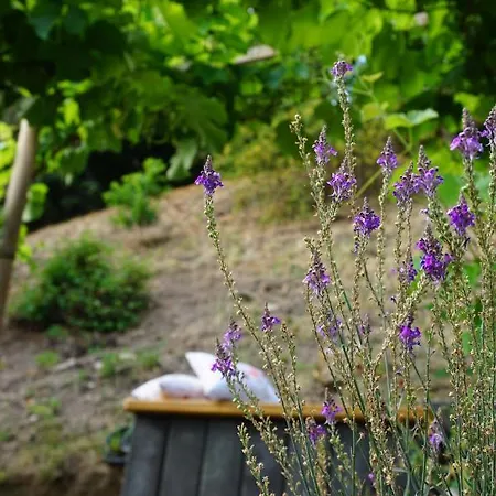 Pensionat Balancehaus Kohren-sahlis, Dein Kurhaus In Sachsen 4*