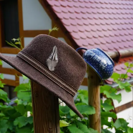Balancehaus