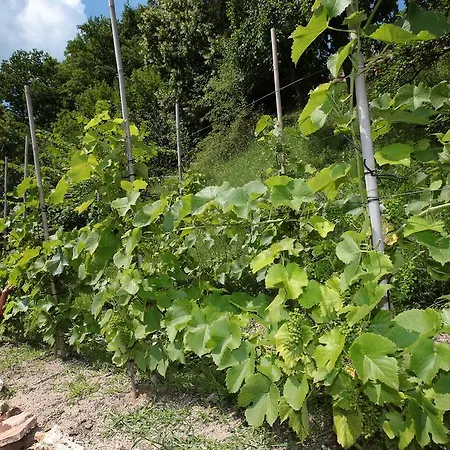 Balancehaus Kohren-sahlis, Dein Kurhaus In Sachsen Gæstehus
