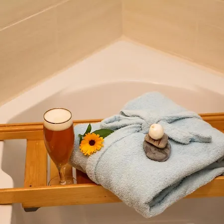 Pensionat Balancehaus Kohren-sahlis, Dein Kurhaus In Sachsen 4*